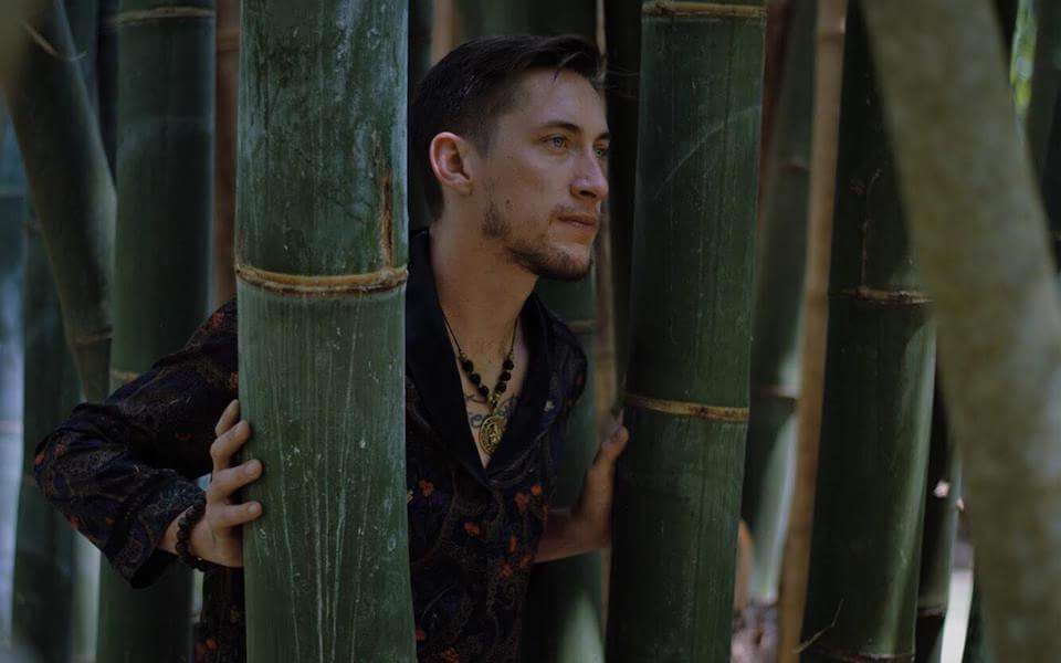 Bamboo grove scene
